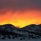 Skull Valley 